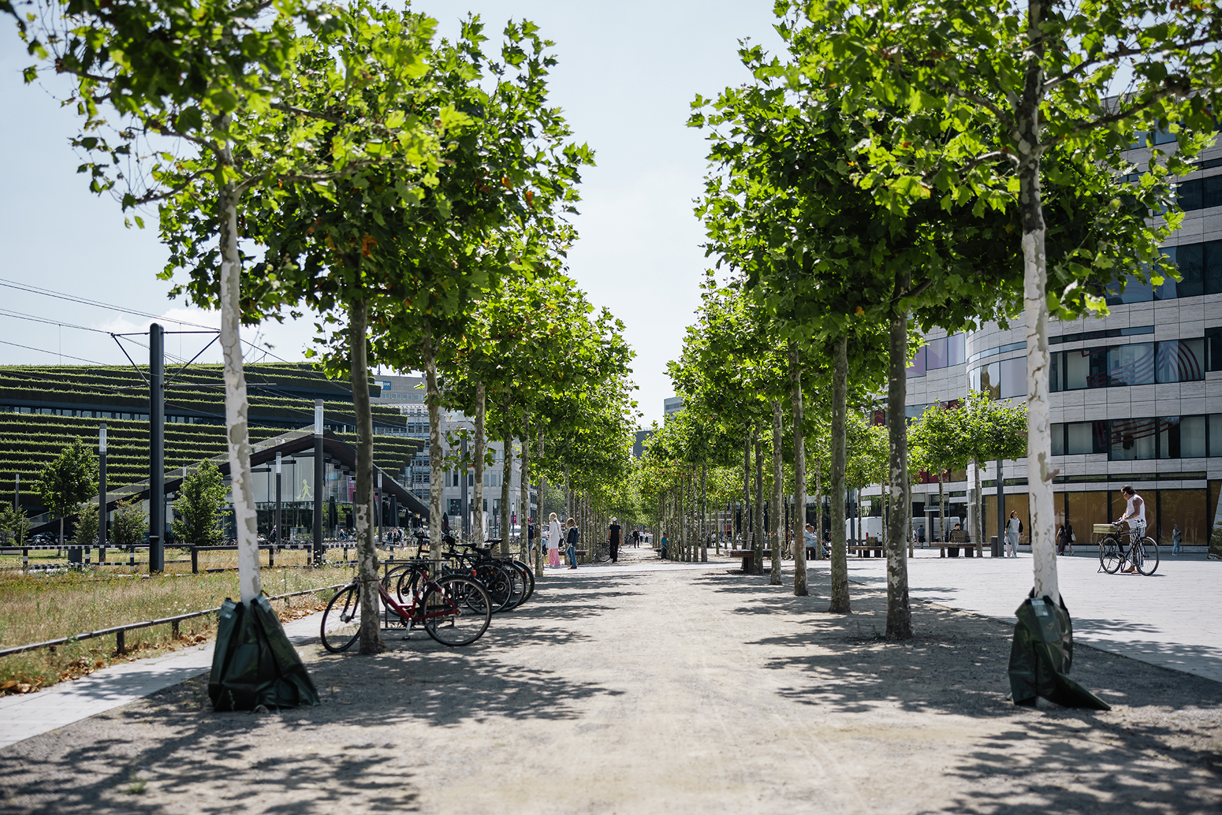 kö bogen II © marcel kusch I studio grüngrau