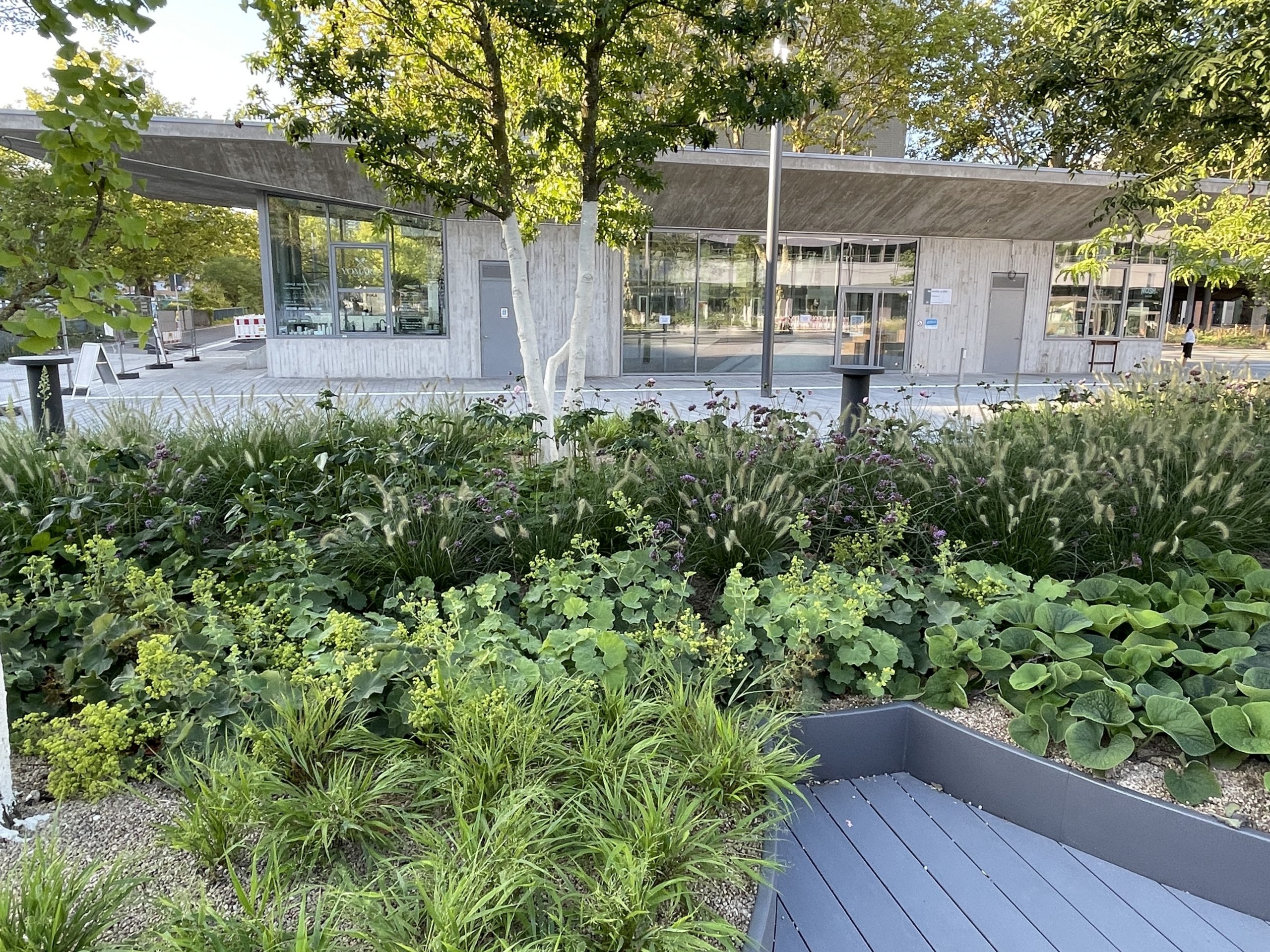 Albertus-Magnus-Platz - Universität Köln