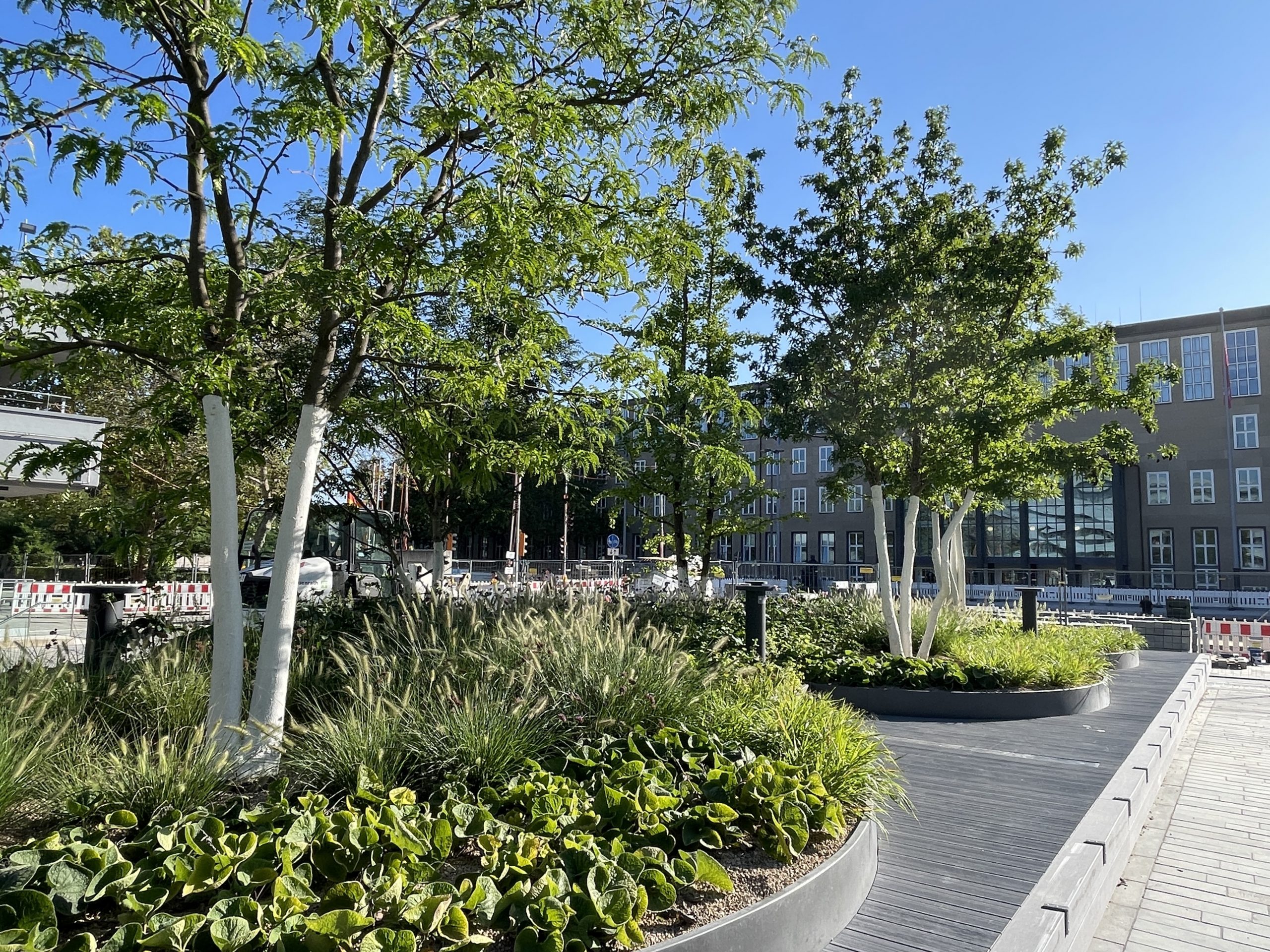 Albertus-Magnus-Platz - Universität Köln
