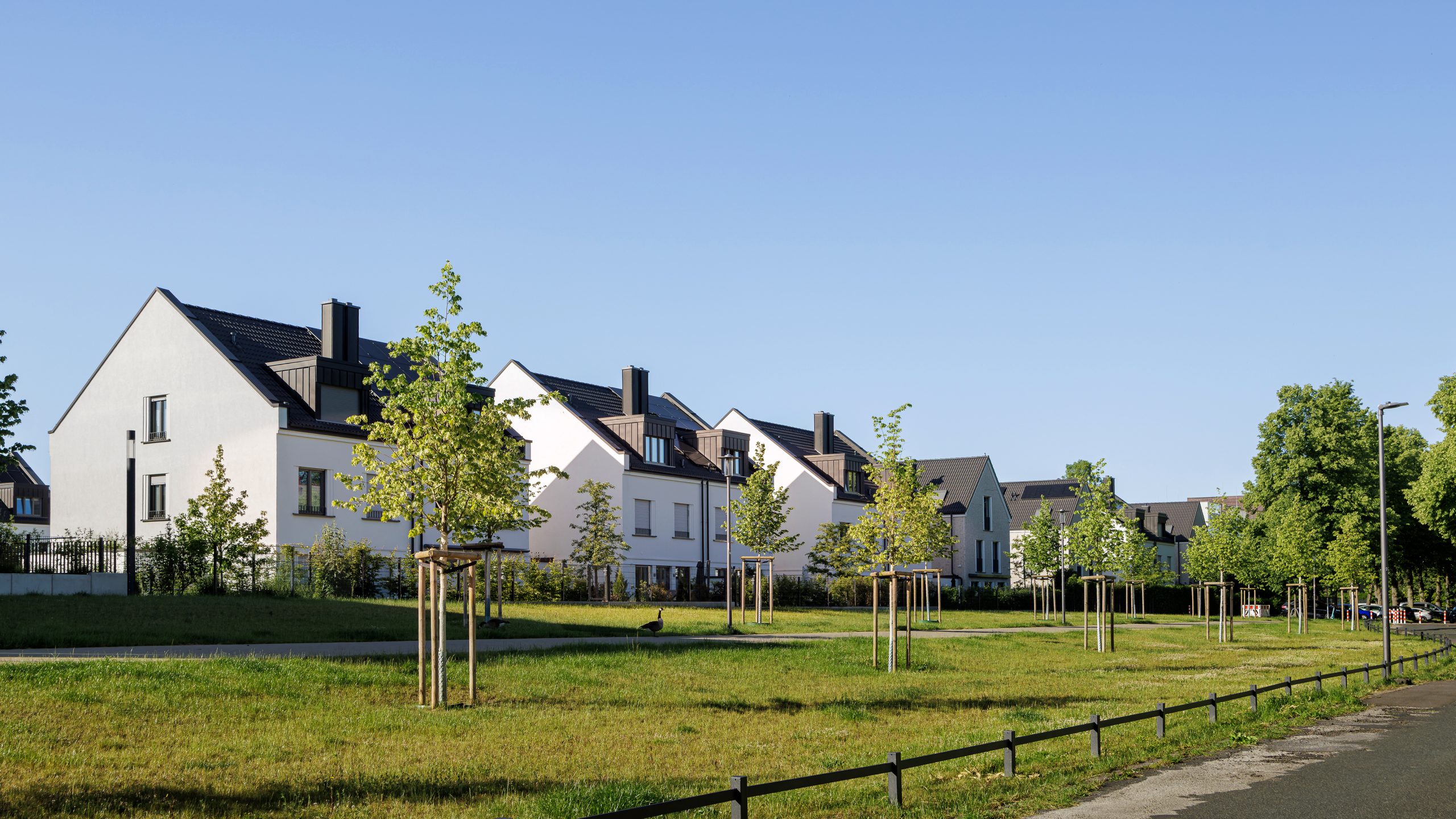 Zoo eins EFH & DHH; Foto: DORNIEDEN Gruppe GmbH & Co. KG
