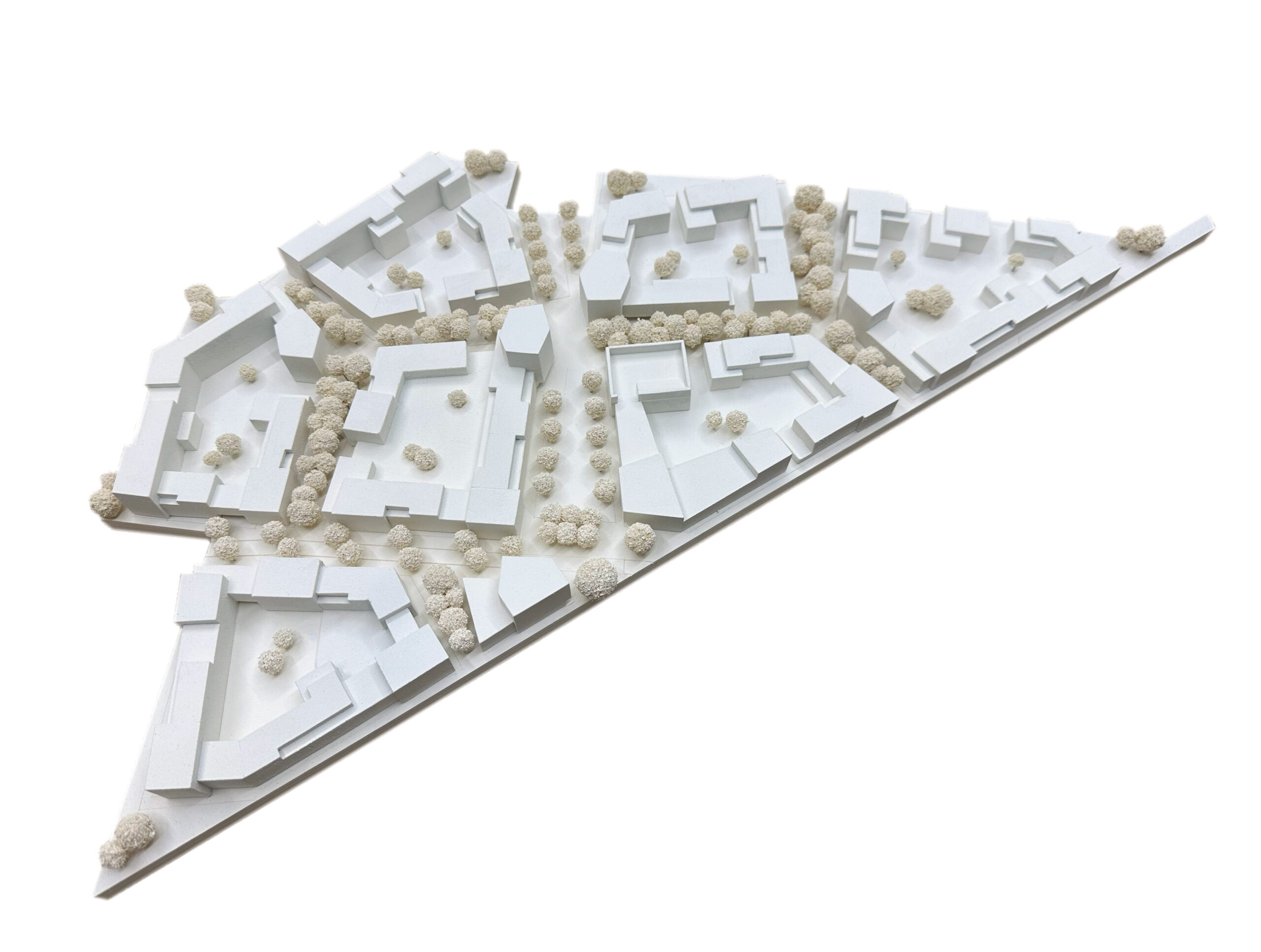 Modellfoto Im Rosenfeld