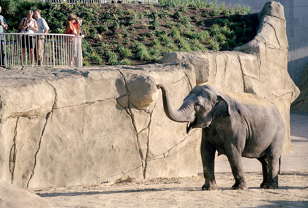 Elefantenhaus Zoo Köln