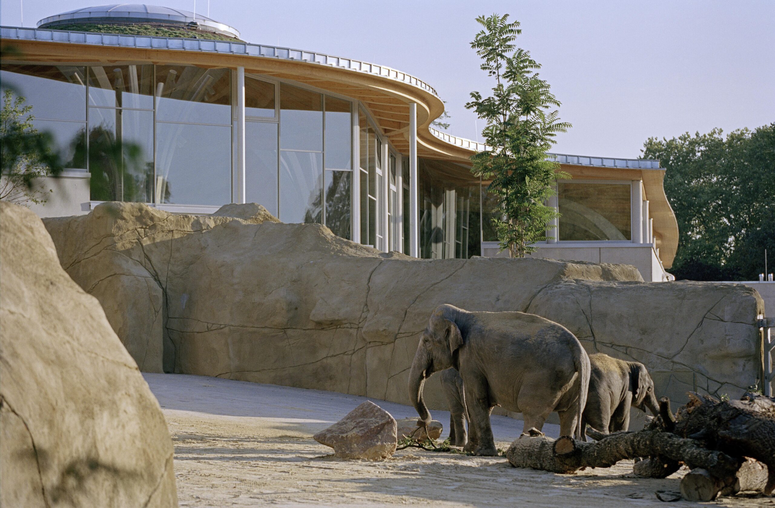 Elefantenhaus Zoo Köln