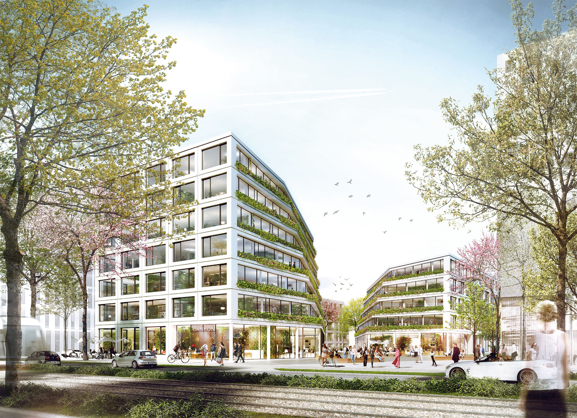 Green Campus Godesberger Allee Bonn