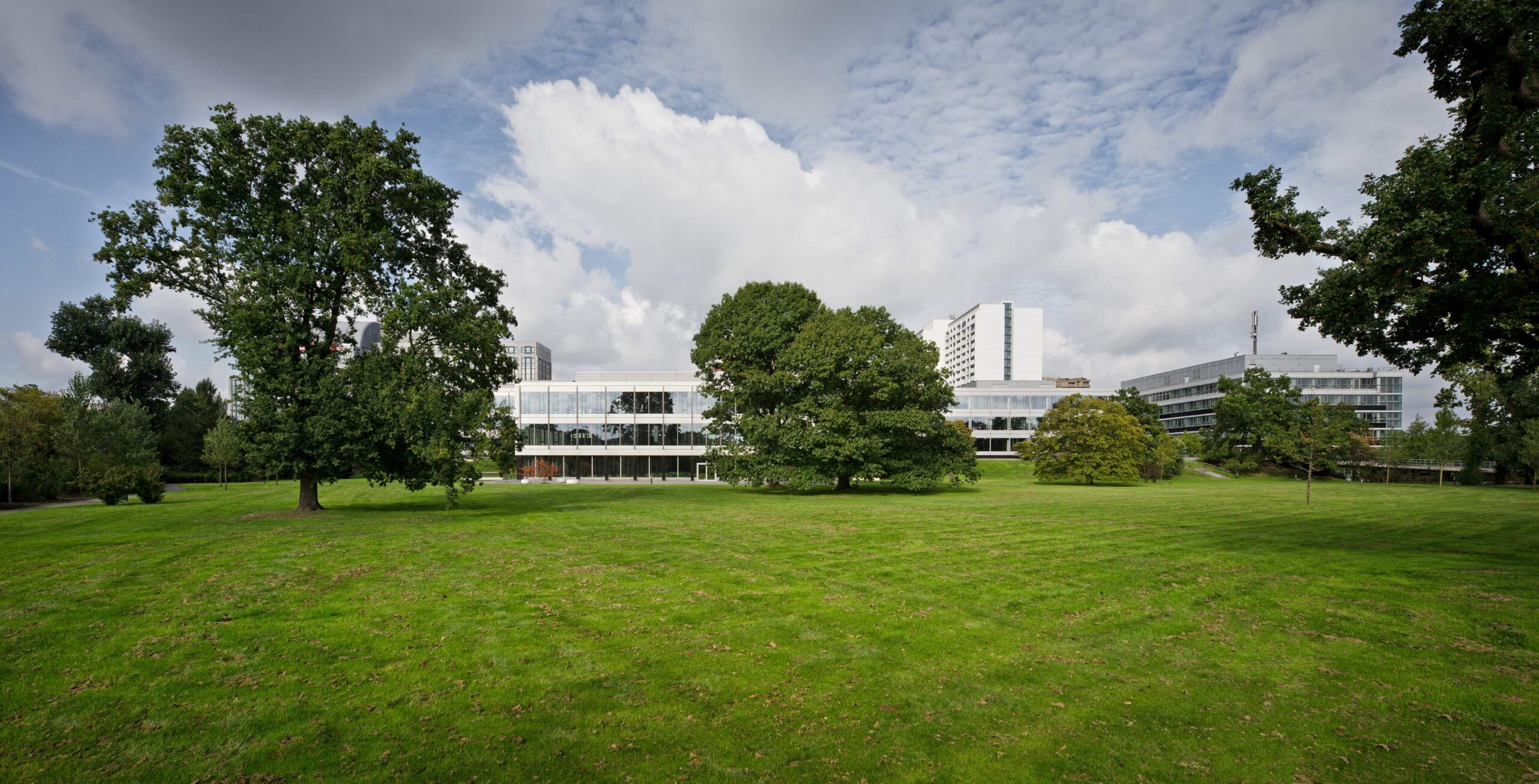 Seestern Düsseldorf