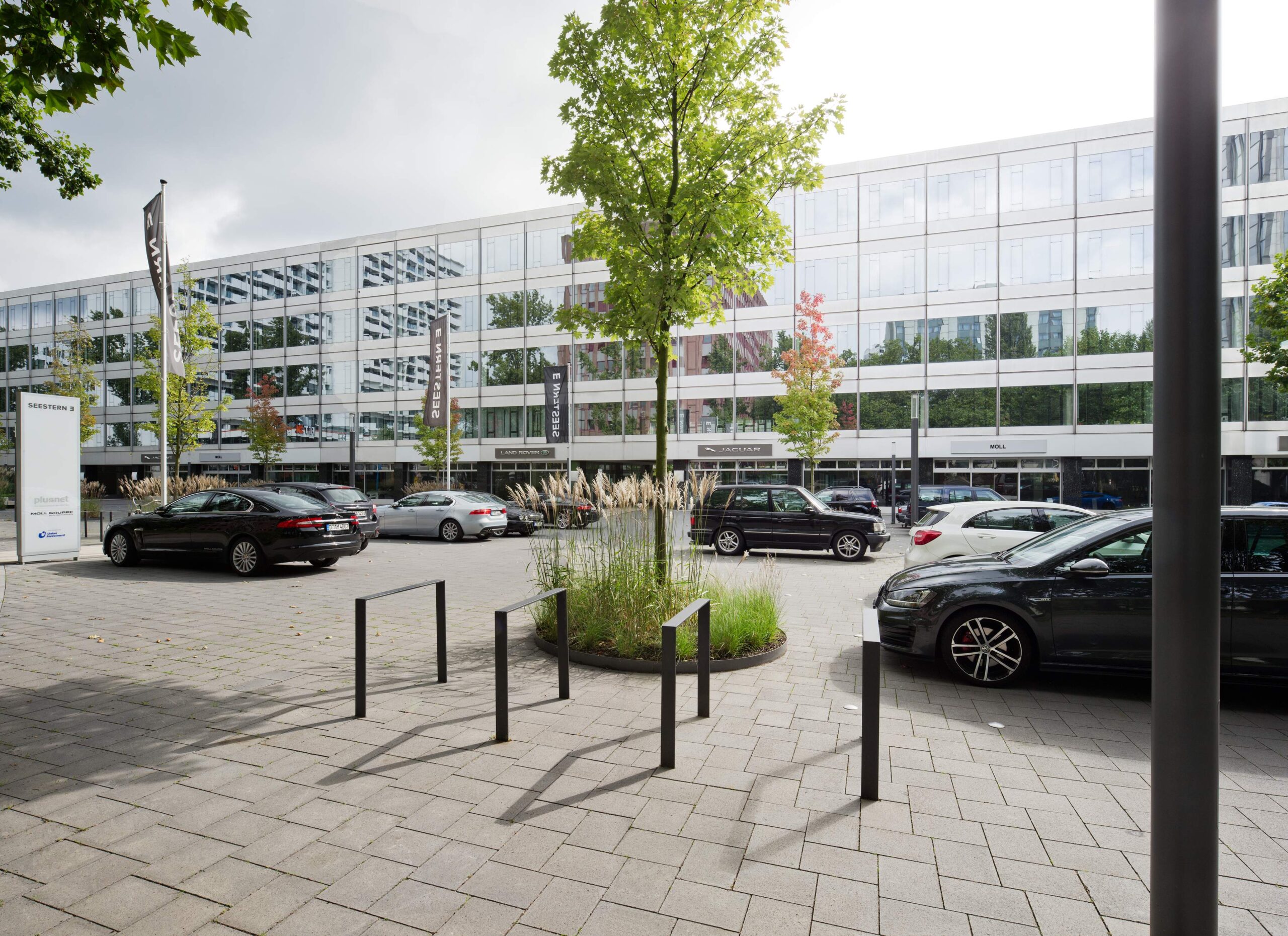 Seestern Düsseldorf