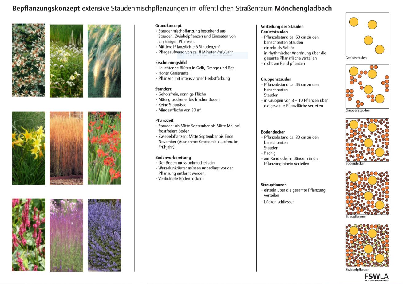 Staudenmischplanzung Mönchengladbach