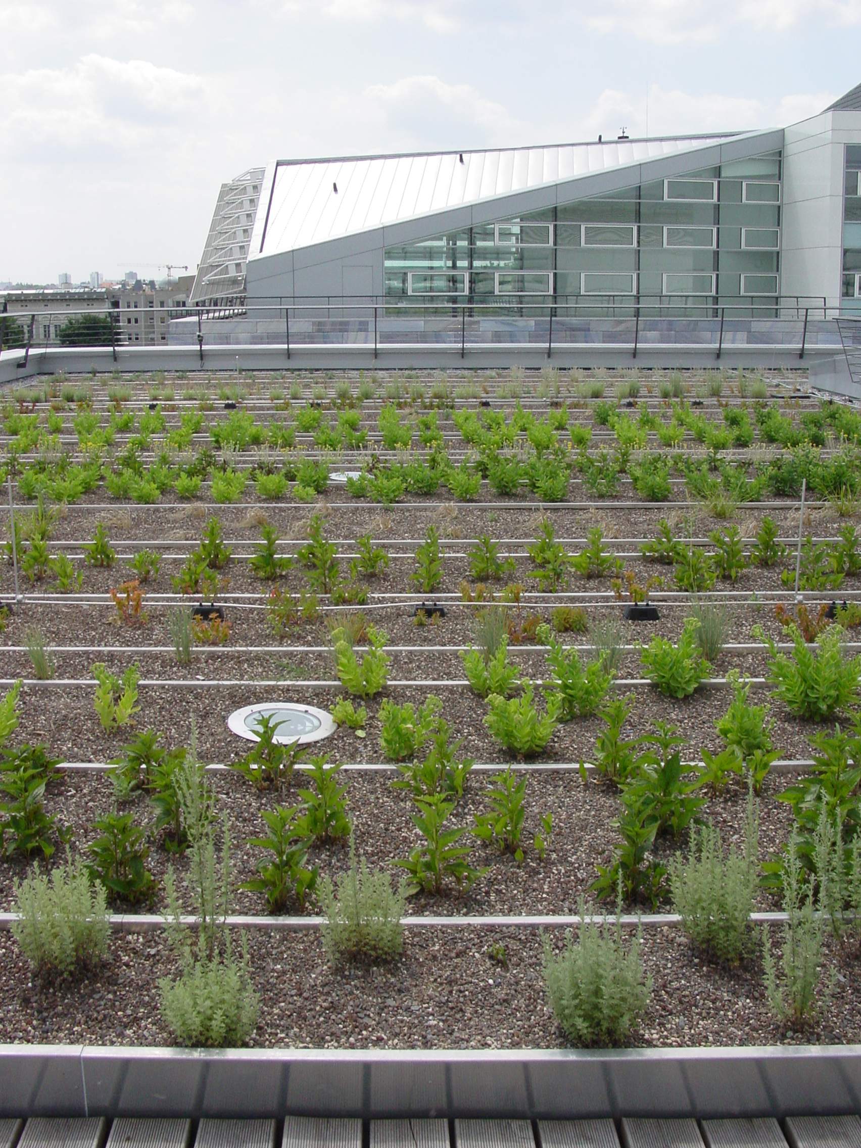 Neubau Nord LB Domplatz