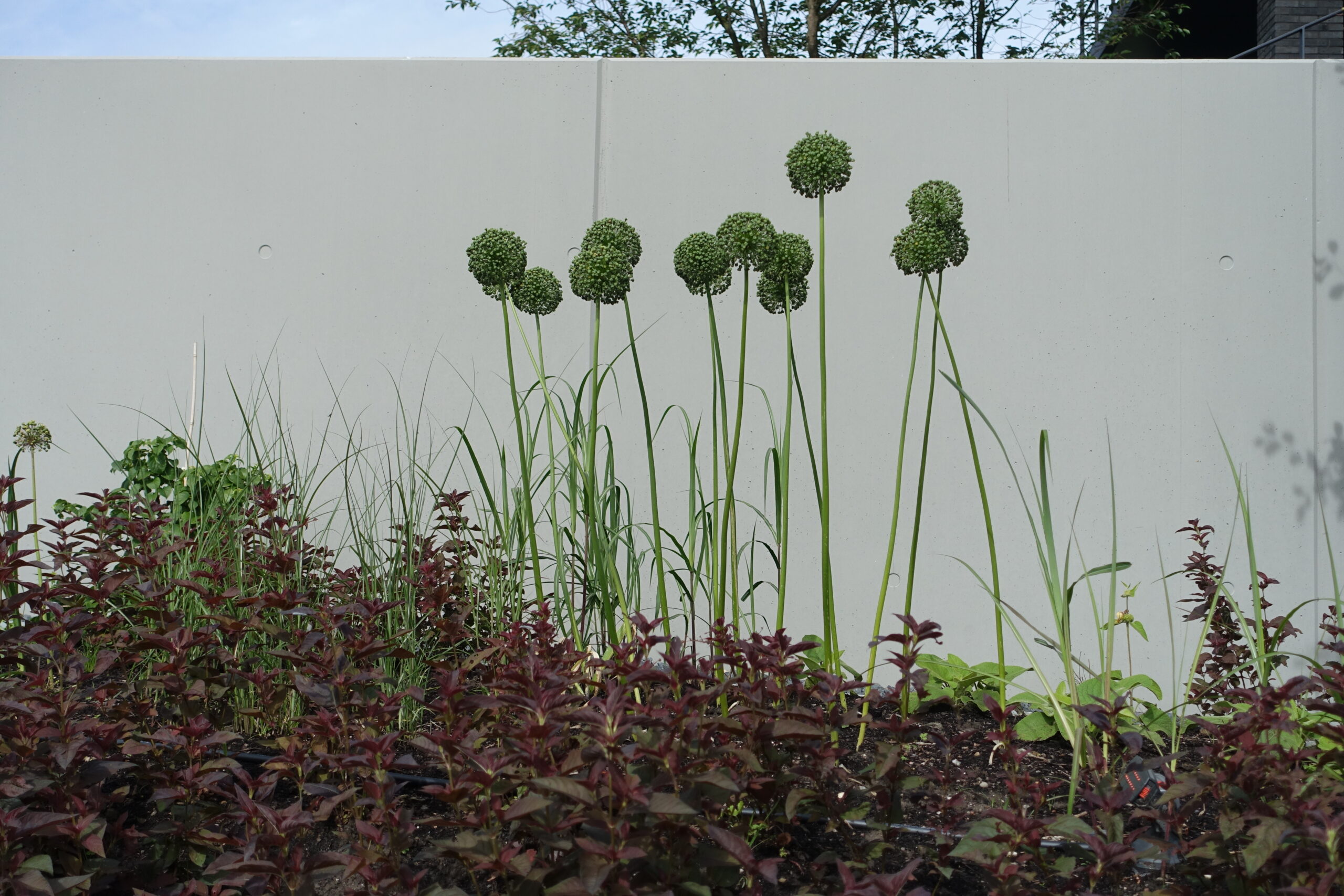 Hausgarten Bergisch-Gladbach