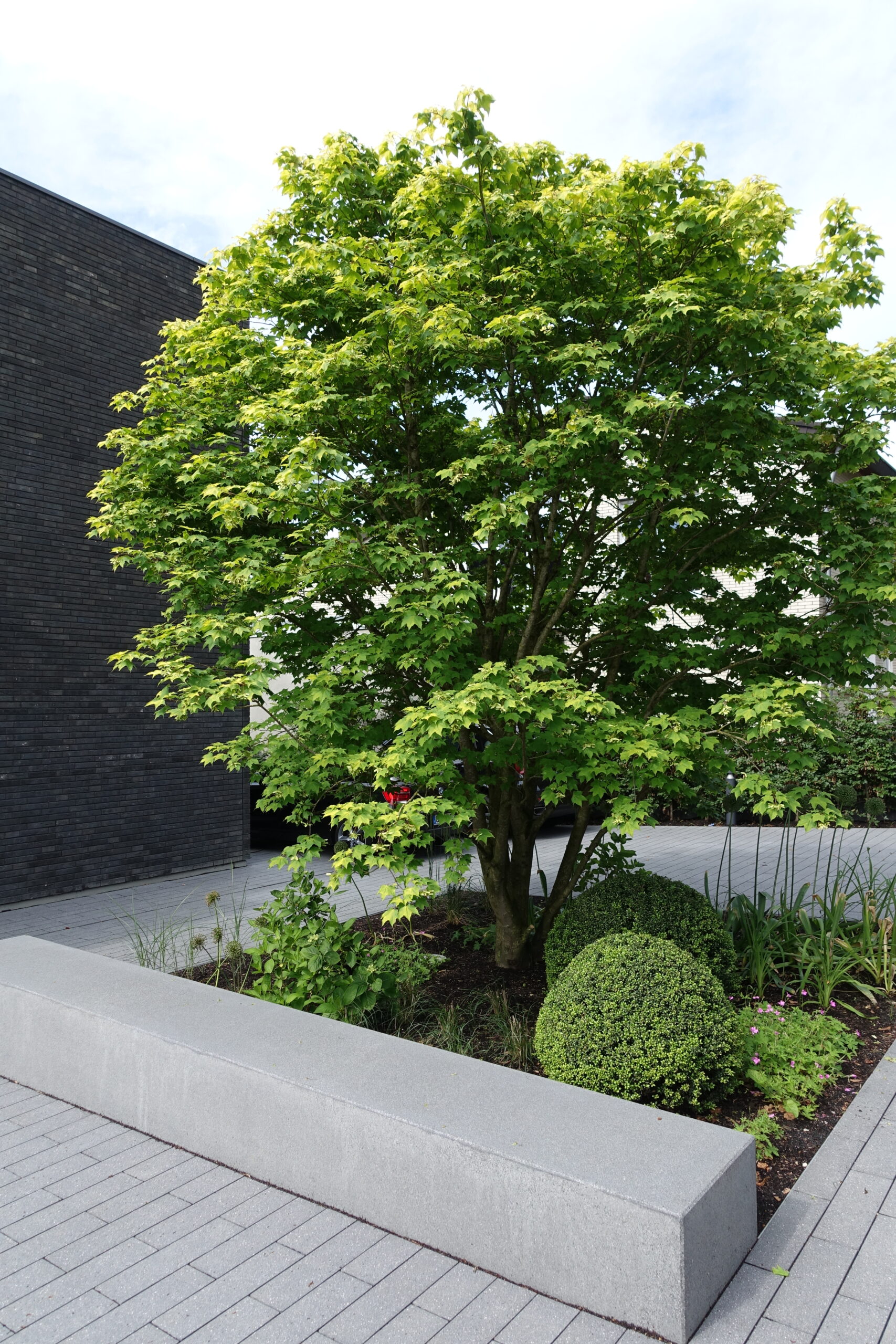 Hausgarten Bergisch-Gladbach