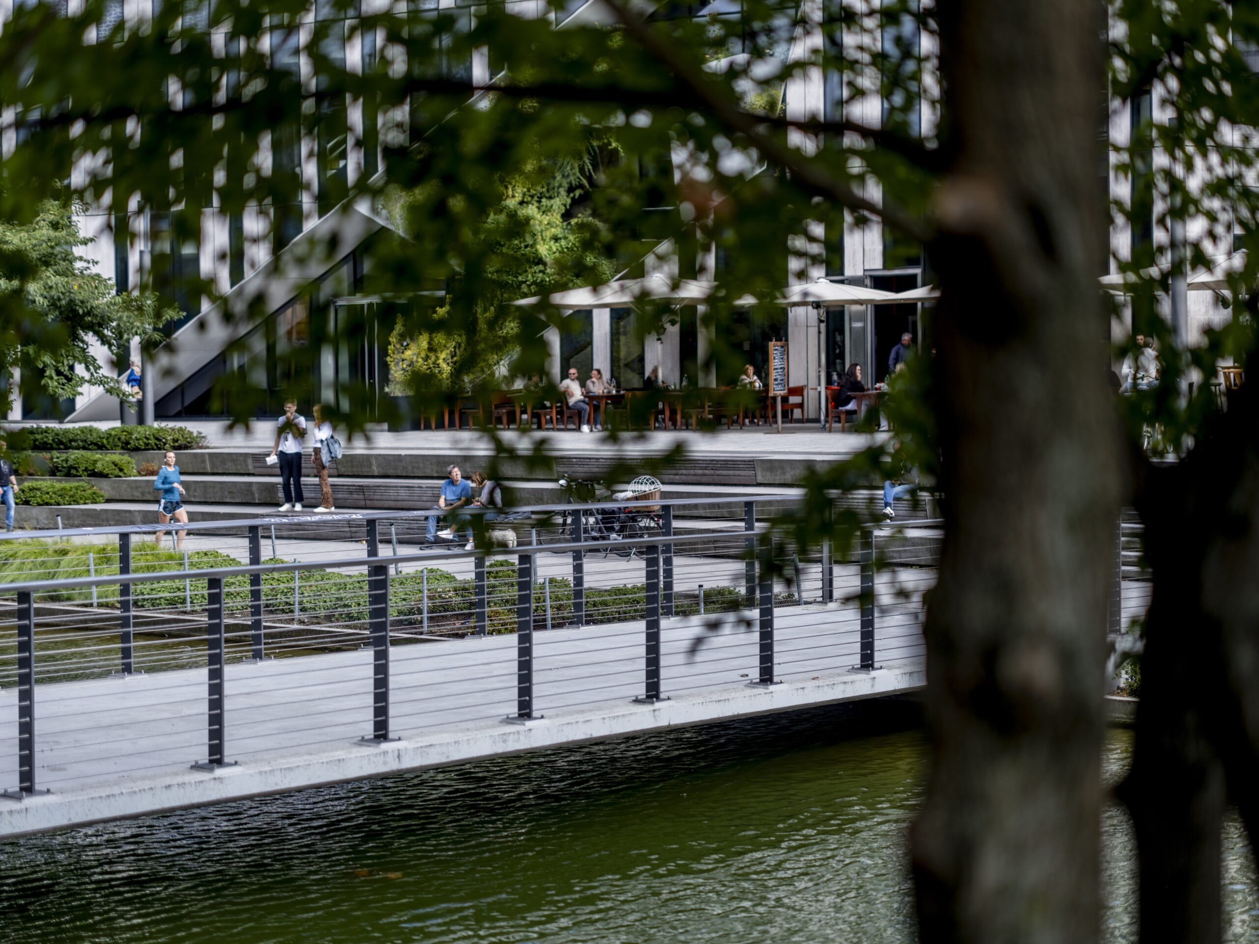 Sanierung Freianlagen Landskrone - Kö Bogen