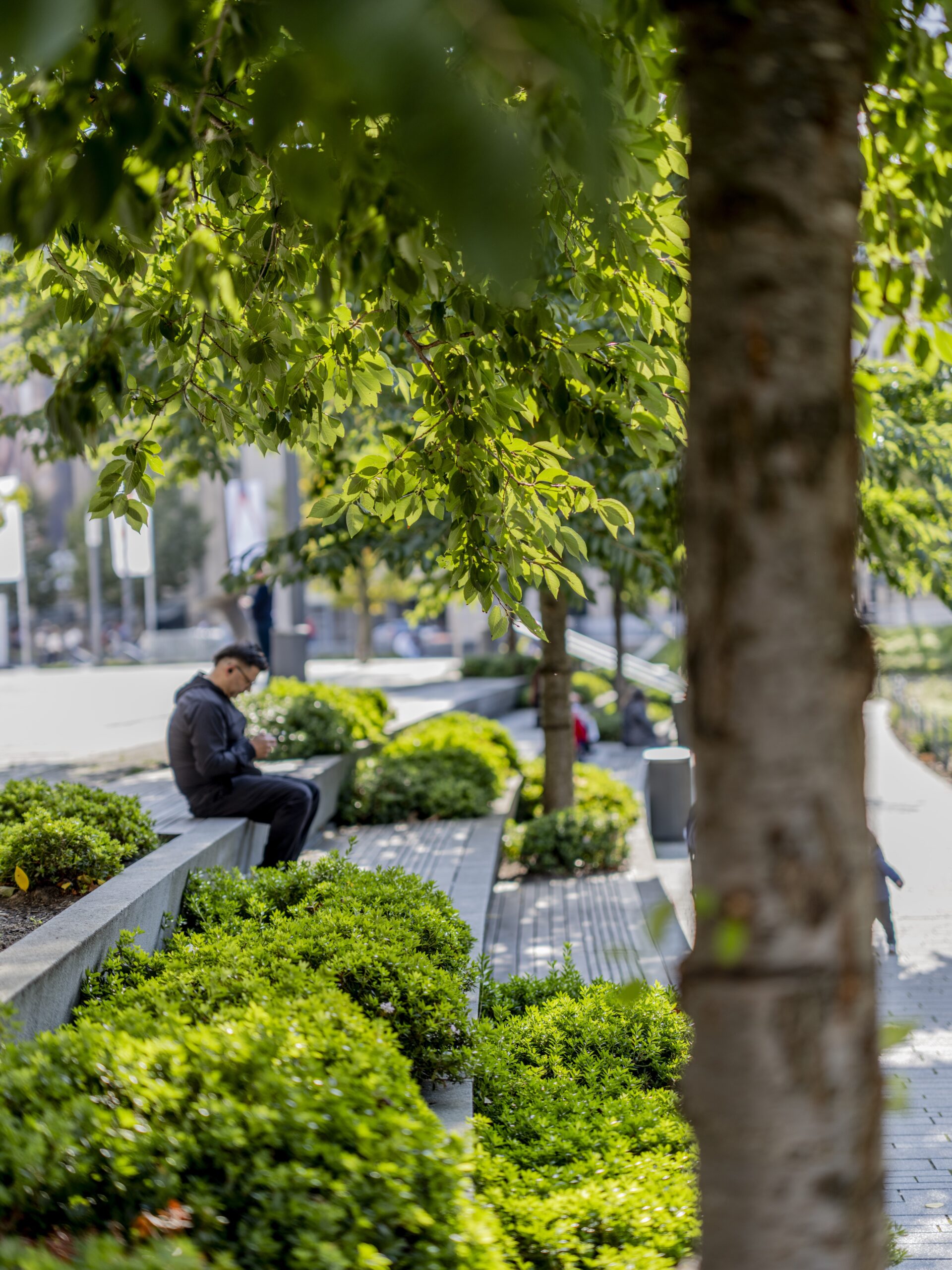Sanierung Freianlagen Landskrone - Kö Bogen