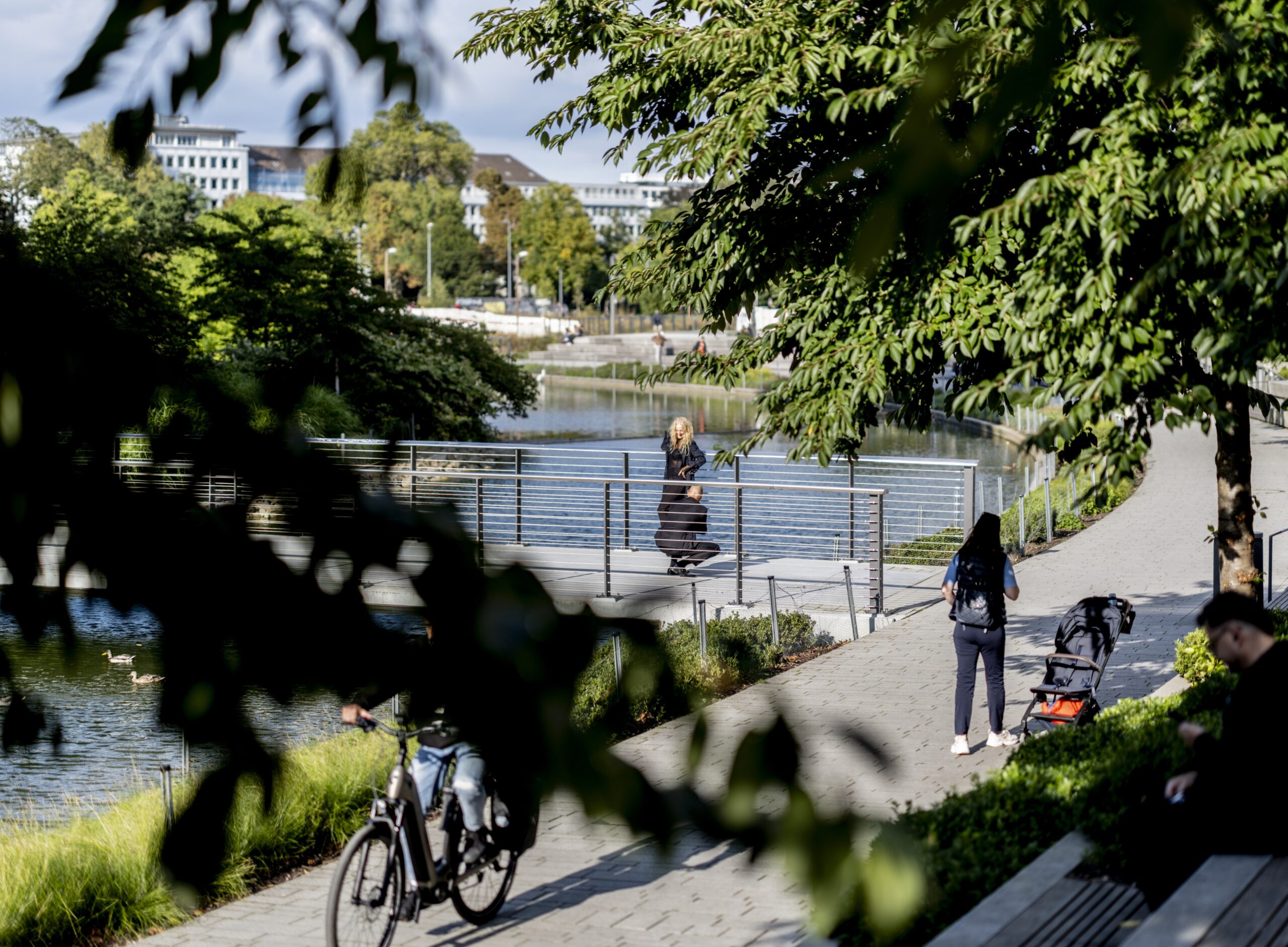 Sanierung Freianlagen Landskrone - Kö Bogen