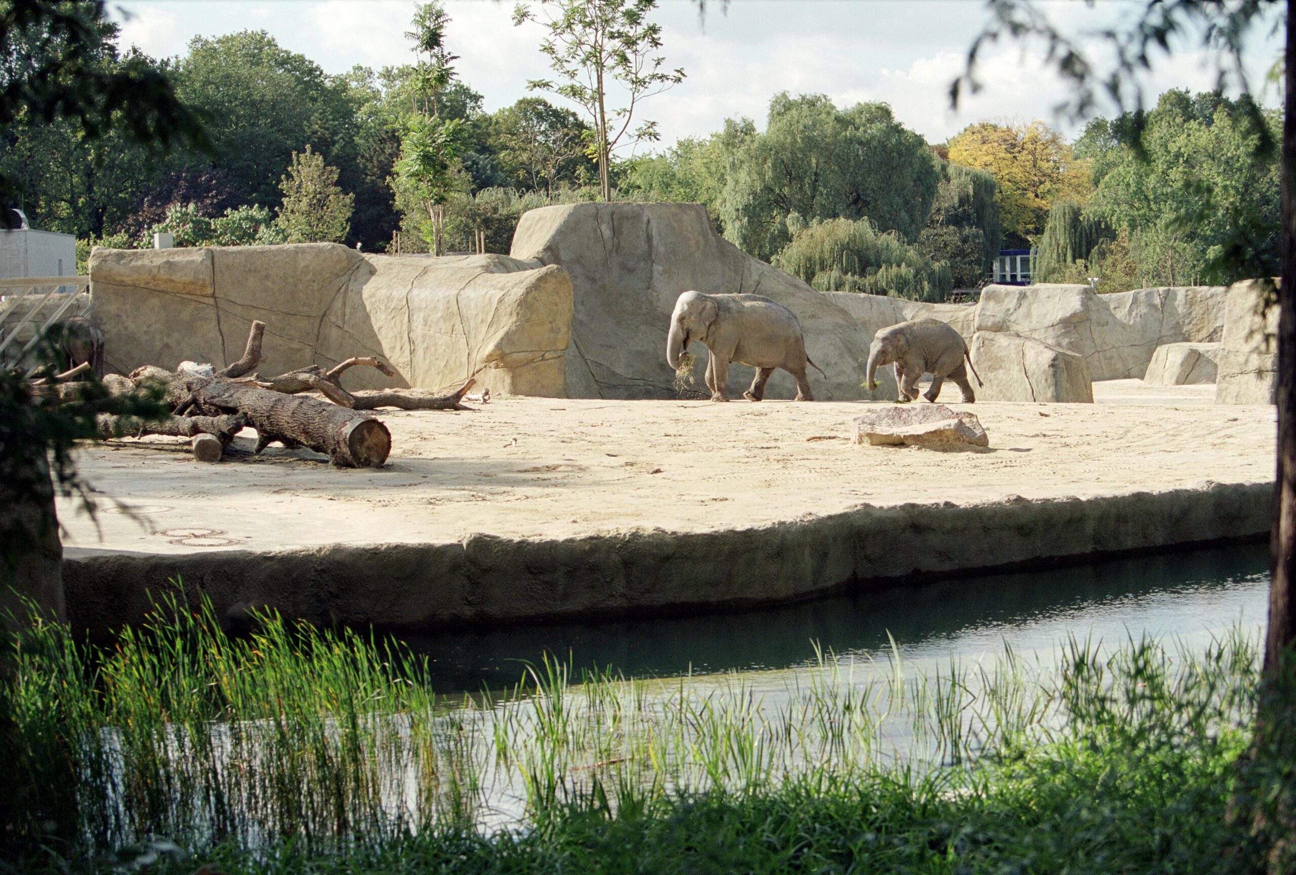 Elefantenhaus Zoo Köln