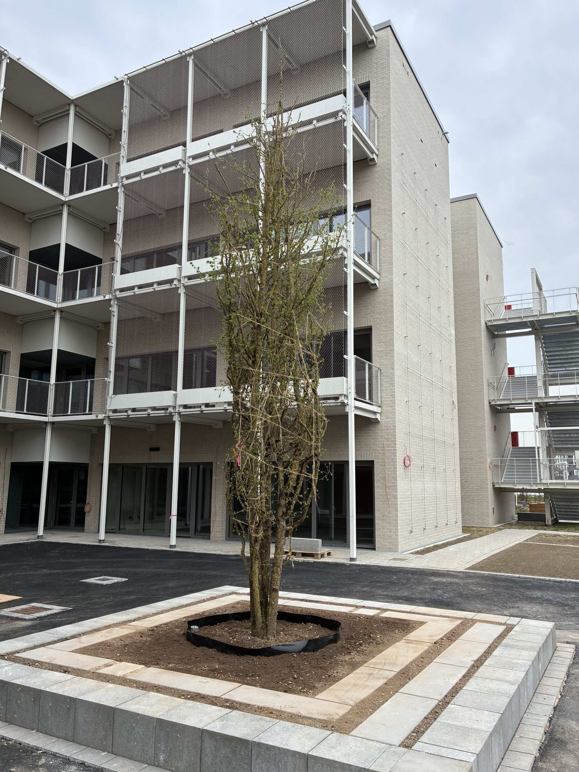 Da nach den Sommerferien die Schülerinnen und Schüler "einziehen", herrscht aktuell Endspurt auf unserer Baustelle.