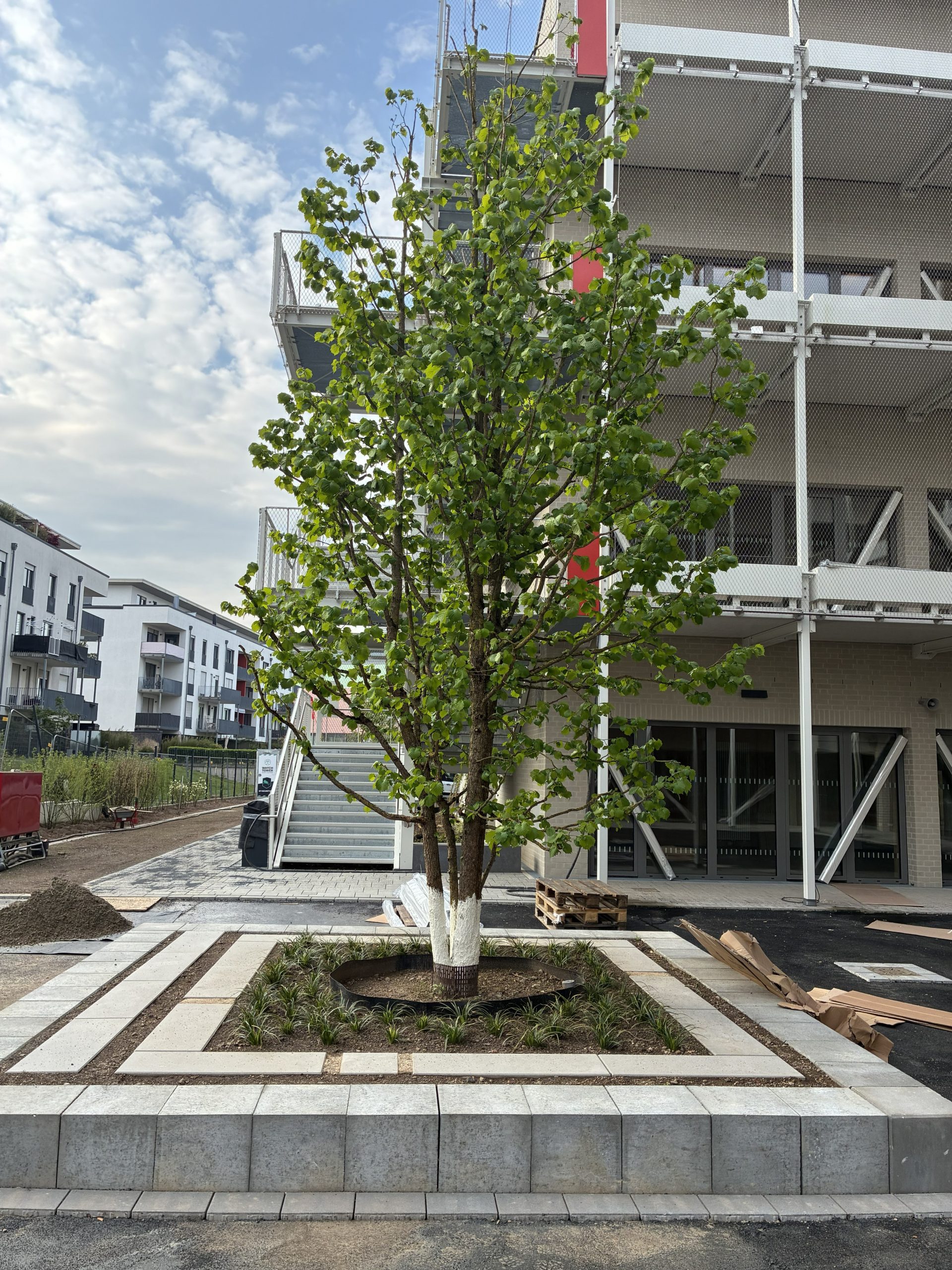 Da nach den Sommerferien die Schülerinnen und Schüler "einziehen", herrscht aktuell Endspurt auf unserer Baustelle.