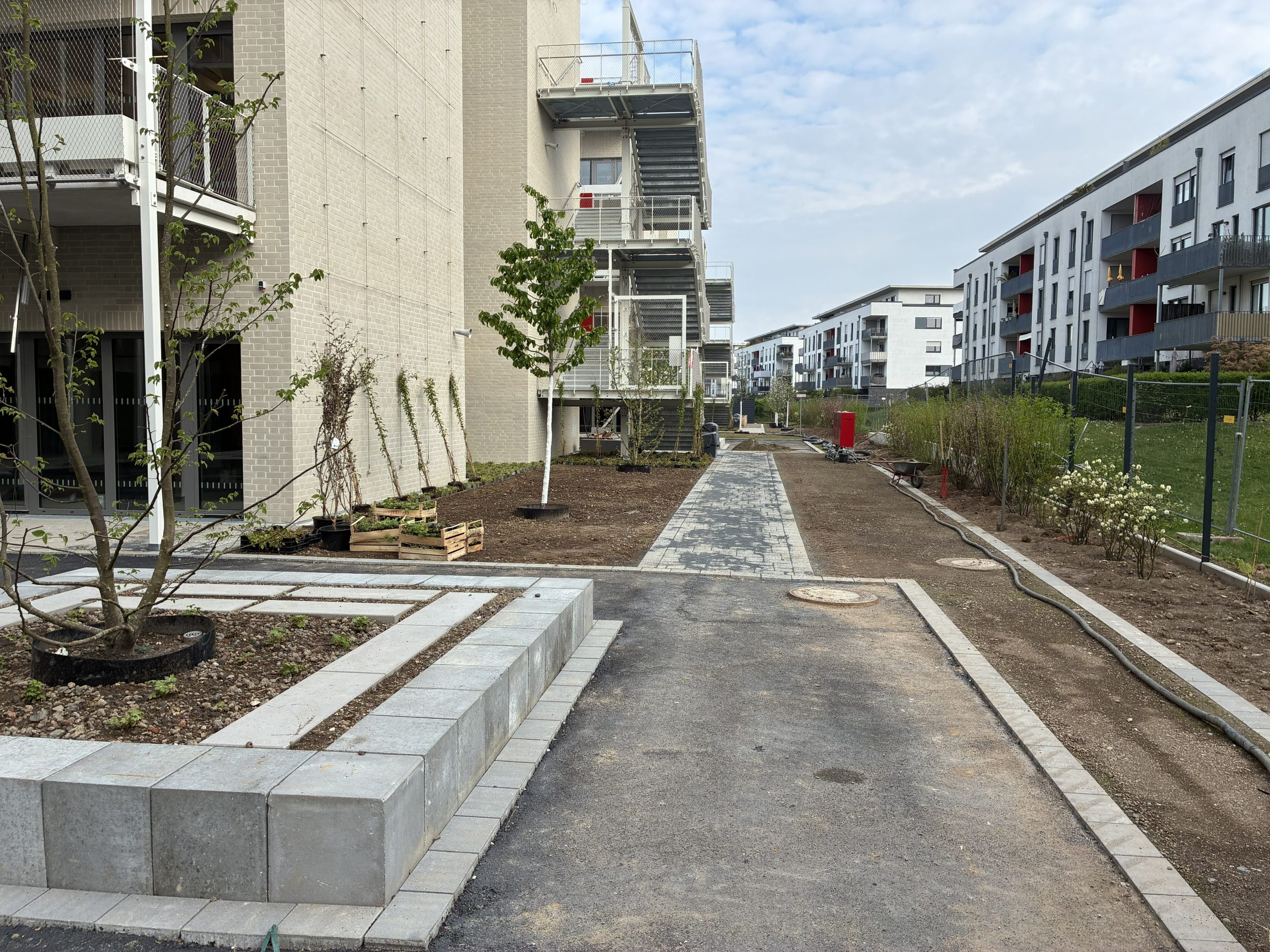 Gesamtschule Fitzmauricestraße Köln