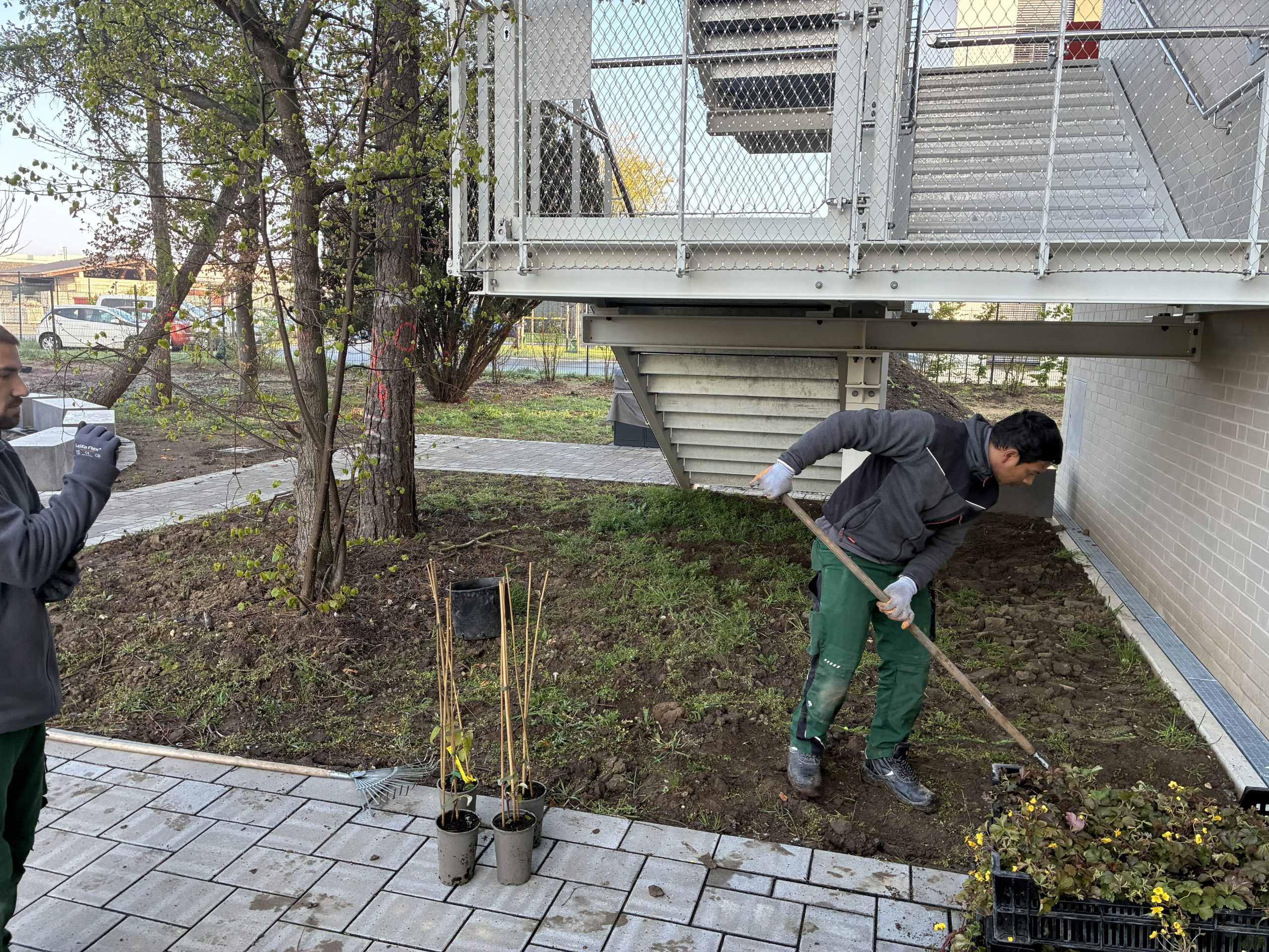 Gesamtschule Köln Ossendorf