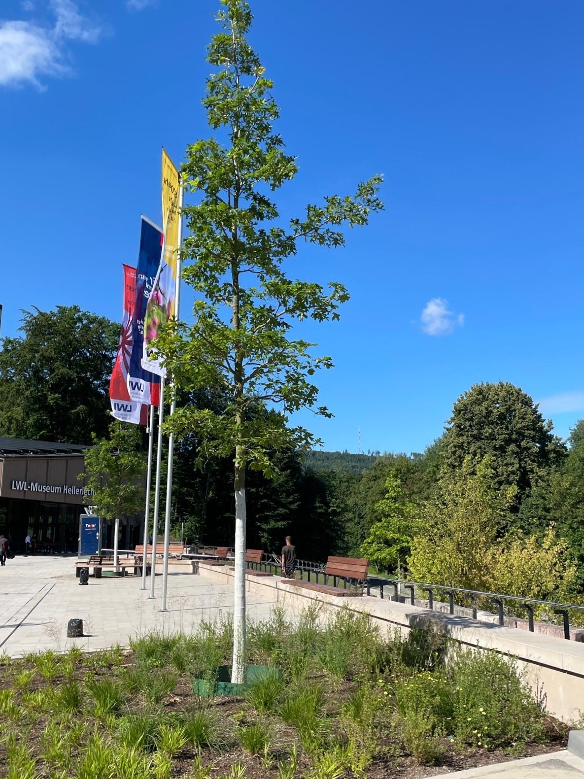 lwl museum detmold