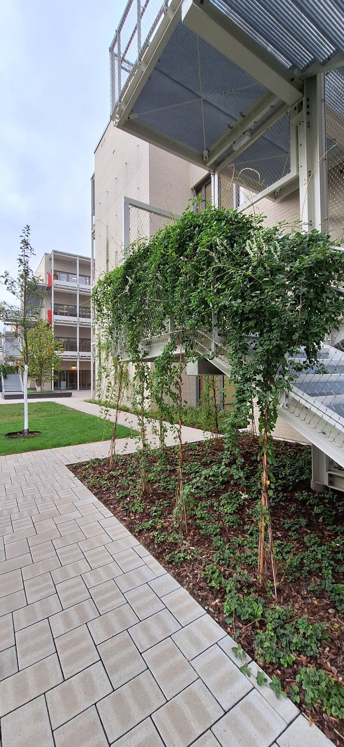 GS Fitzmauricestraße Köln